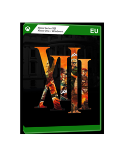 XIII